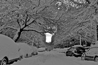 Central Park Snow Day - Version 2
