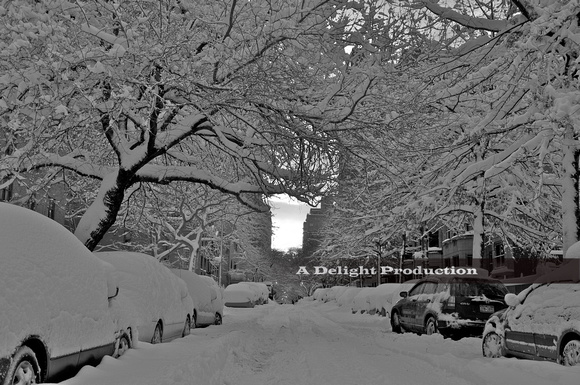 Central Park Snow Day - Version 2